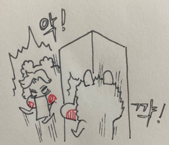  [젠토리 일상]다 토리 잘못