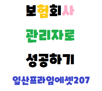  일산에서 보험회사 영업관리자로 성공해보자[일산프라임에셋207본부김성현]