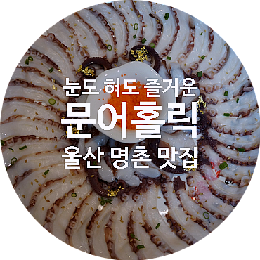  [울산명촌맛집] 문어홀릭 울산문어전문점 : 싱싱한 문어요리