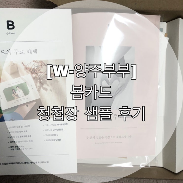 [W-양주부부] 봄카드 청첩장 샘플 후기