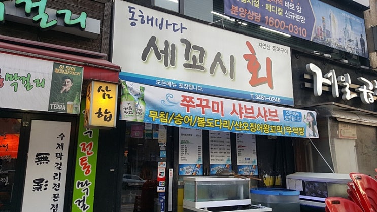  신논현역 동해바다 세꼬시 횟집, 오래된 단골 맛집 다녀왔어요.