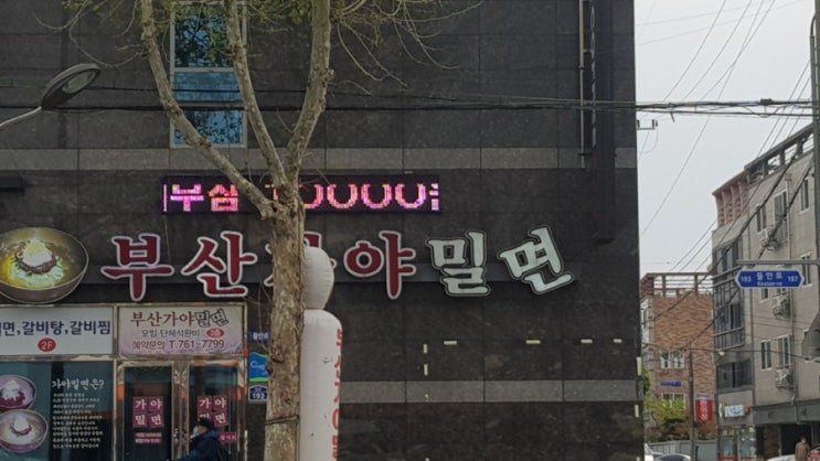  대구 수성구 중동맛집 밀면맛집 주변맛집 부산가야밀면