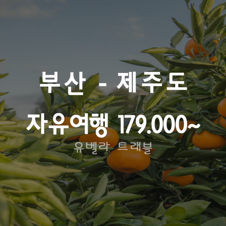  [부산출발] 제주도 자유여행 1박2일 에어텔, 에어카텔 에어부산