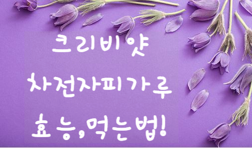  차전자피효능 가루 먹는법 알려줄께요 크리비얏차전자피