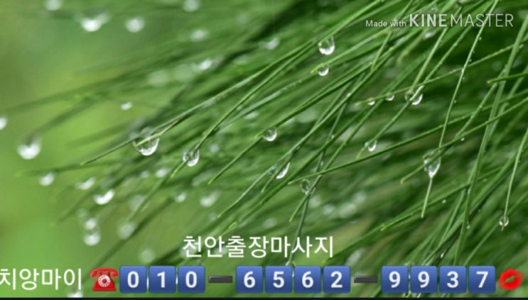  천안 출장마사지, 천안 출장 안마 ((편안)) 함을 선물해 드립니다