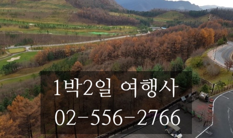  알펜시아 골프 1박2일 클럽700 정선 하이원 cc 5~6월 & 오투cc