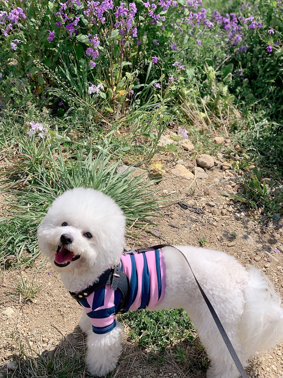 지지고 안양대점 사진 2