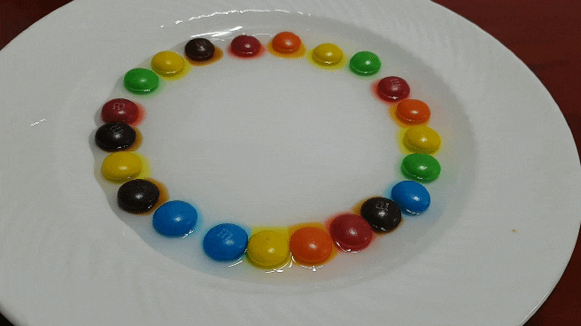 엄마표놀이 엠엔엠즈 m&m 색소확산놀이.
