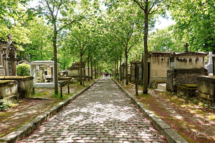 파리 여행 | 가볼만한 곳 공원 같은 공동묘지 (페르 라세즈 Père Lachaise)