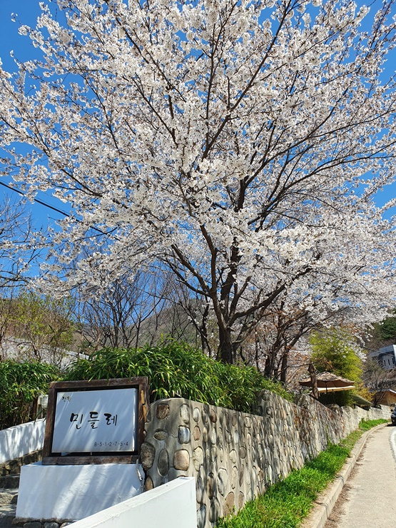  [아빠 일상] 충주 분위기 좋은 맛집 "민들레" 충주댐 드라이브 코스