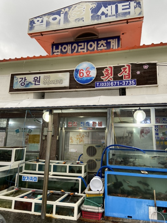  [양양 맛집] 우리집 단골 횟집, 남애항 강원횟집 6호!