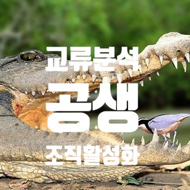  부산 강사 에릭번 교류분석 공부 도움 되는 글 공생 연습 박정웅 강사