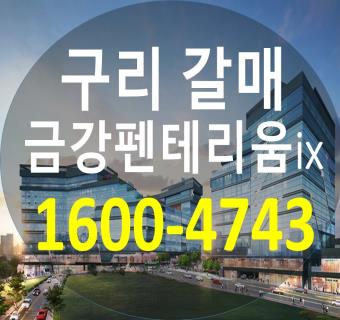  구리갈매 금강펜테리움 IX TOWER 공급정보