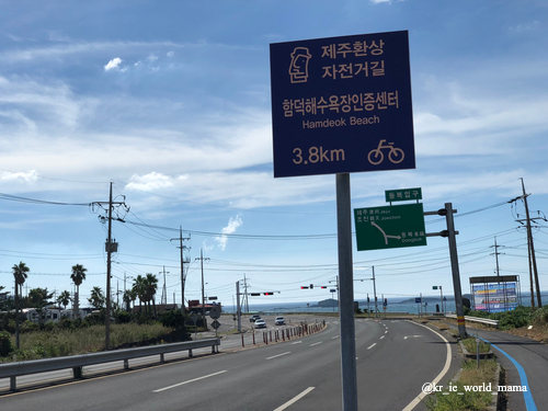  제주 함덕 숙소 추천 함덕해수욕장 서우봉비치호텔 슈페리어 패밀리 트윈룸 루프탑 수영장 가성비 좋은 호텔