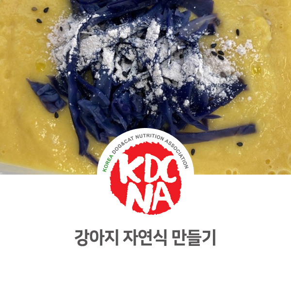  [강아지 펫푸드 취미반 교육] 쁘띠푸드 다이어트 자연식 수업_108