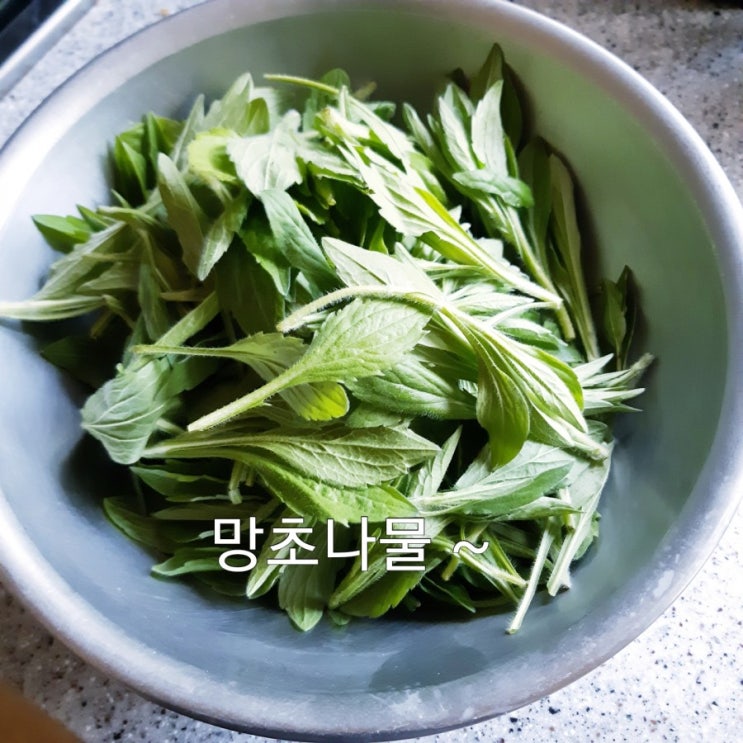  봄철 망초나물  들기름으로 고소하게 무치기