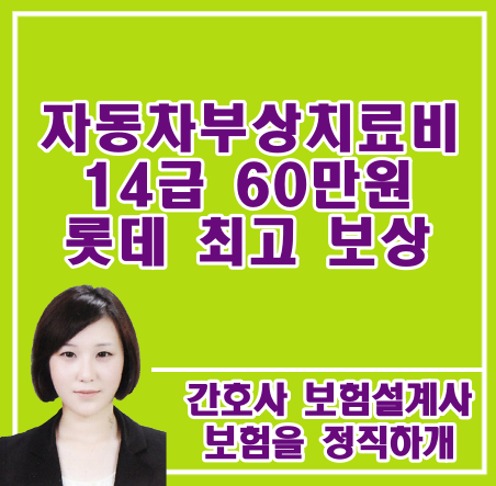  자동차부상치료비 14급 60만원 롯데 최고 보상