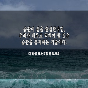  [필사하기좋은글] 습관 만드는데 걸리는 시간은 겨우?