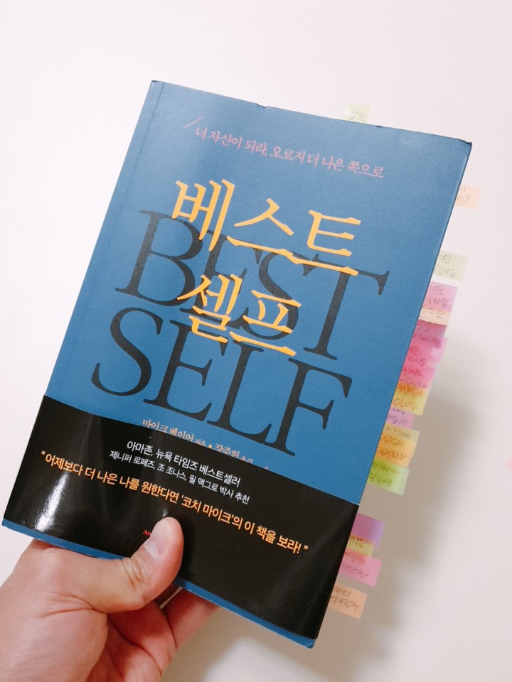  [도서 리뷰] 베스트 셀프 '마이크 베이어'  저