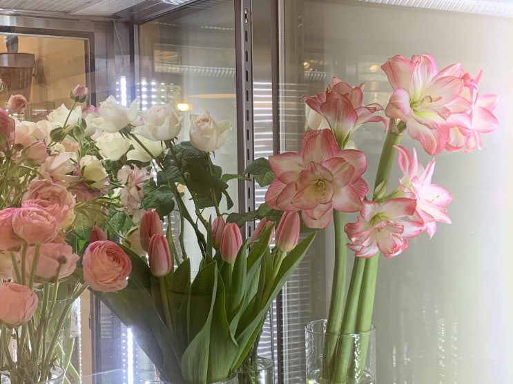  일산 꽃집 토마셀리 플라워 Tomaselli Flower
