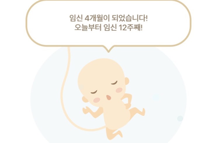  임신12주 증상