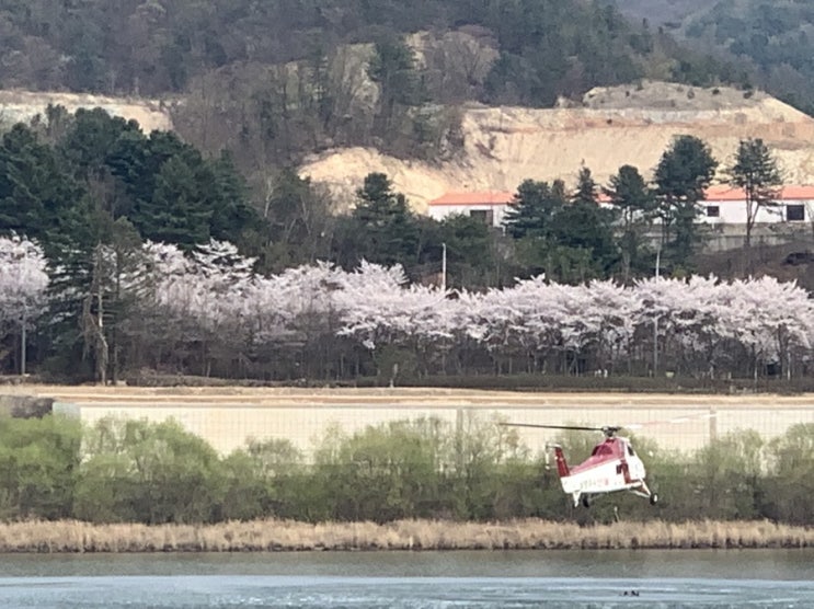  코로나 19와 저 만치 가고 있는 봄 자락
