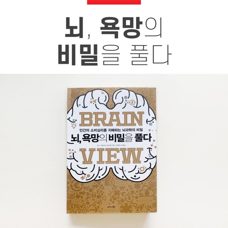  뇌 욕망의 비밀을 풀다, 자청 홍라이크 추천도서