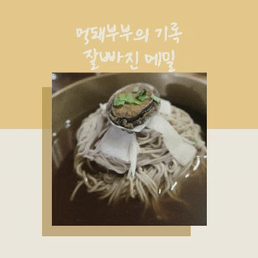  서촌맛집, 잘빠진 메밀 또 생각나는 시원함이에요