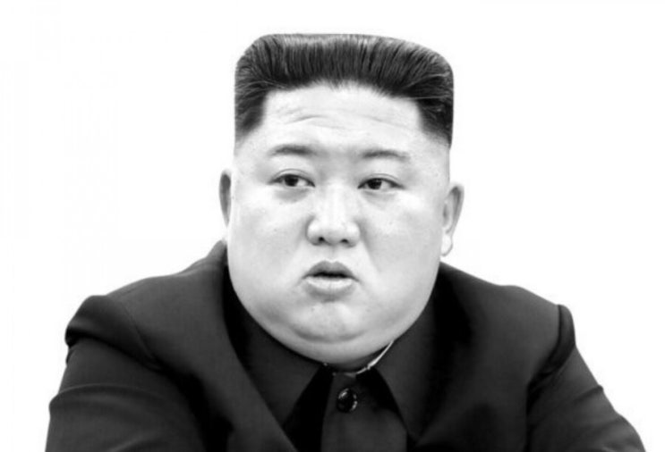  김정은 수술후중태?