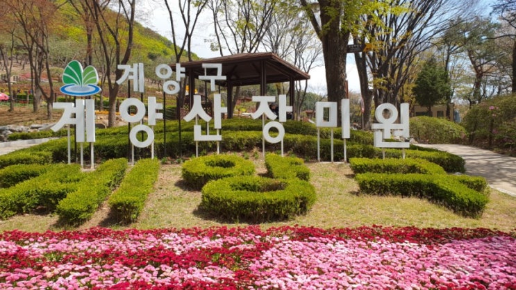  계양산 둘레길 & 브라이드 가든