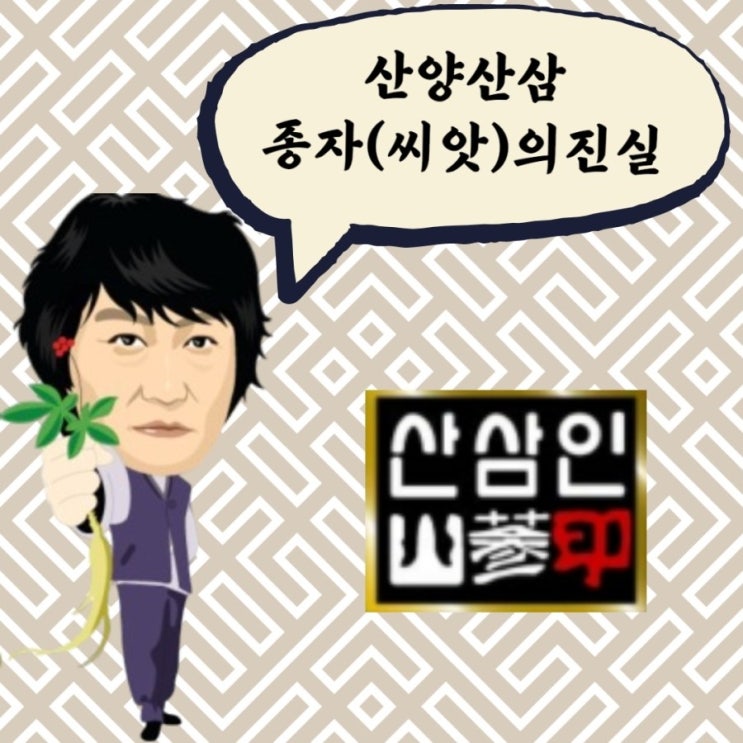  산양산삼 종자(씨앗)의 비밀