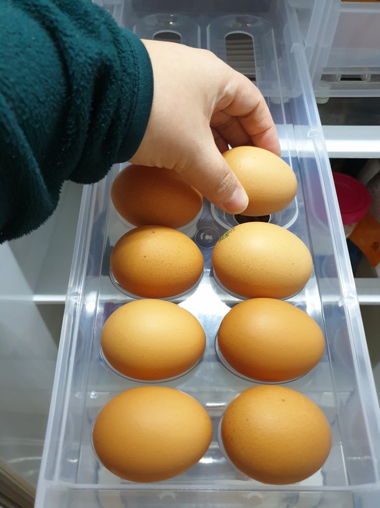 냉장고정리 필수템! 계란보관함  에그트레이 구매 후기