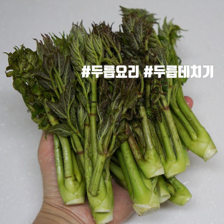  5월제철음식 두릅 데치기, 요리 방법