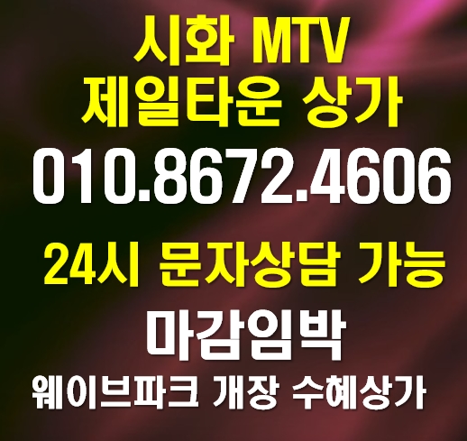 시화 MTV 거북섬 스트리트몰 제일타운 상가 마감임박 feat. 웨이브파크, 아쿠아펫랜드 시화 MTV 거북섬 스트리트몰 제일타운 상가 마감임박 feat. 웨이브파크, 아쿠아펫랜드