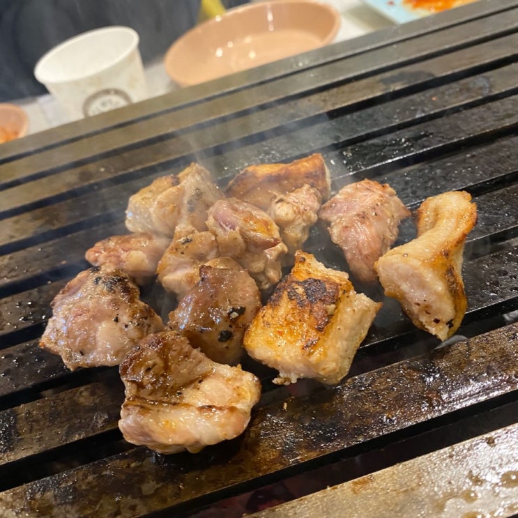  고양 화정역 삼겹살 특수부위 맛집 접시고기 다녀온 후기