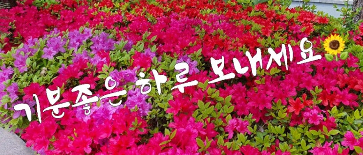 기분좋은 하루 기분좋은 하루