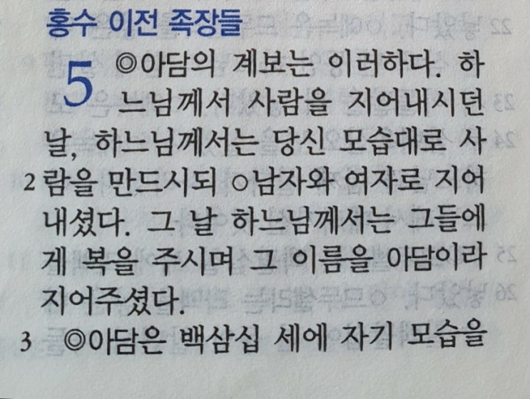  아담의 계보는 이러하다... 낳고 향수 한 나이를 정확히 기록한 창세기의 족보[공동번역으로성경통독하기]창세기(3)