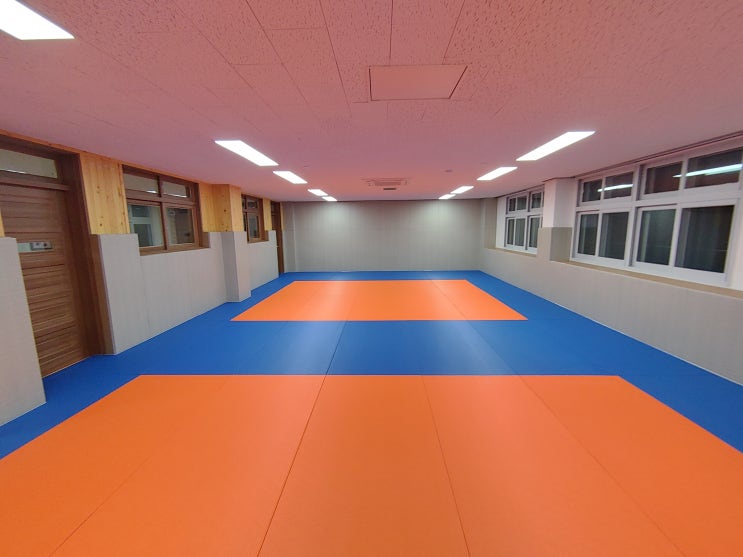  전북 정읍 신태인초등학교 소규모실내체육시설 - 다오코리아 안전 바닥매트&안전 보호벽매트(안전패딩) 설치