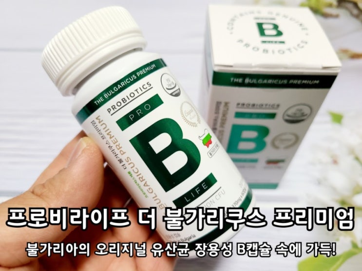 불가리아 유산균 더 불가리쿠스 프리미엄 매일 섭취 중! 불가리아 유산균 더 불가리쿠스 프리미엄 매일 섭취 중!