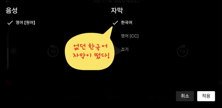  [해외거주자 꿀팁]해외에서 넷플릭스 한국어 자막 켜는 방법, 한국어 자막이 안나와요ㅠㅠ