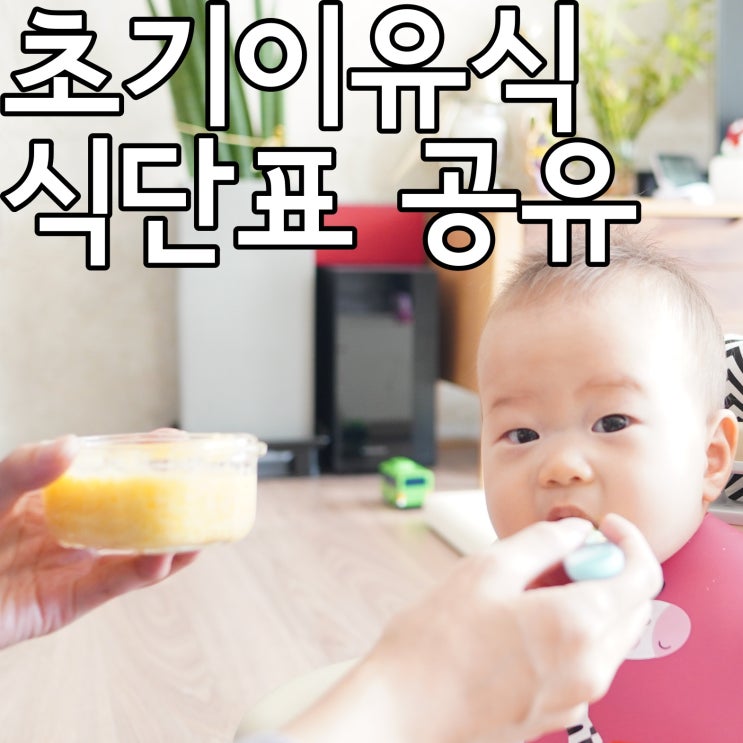  초기이유식 식단표 짜는방법, 파일 공유(소아과의사추천표)