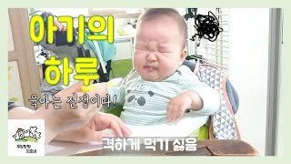  우당탕탕 리얼 육아 스토리!