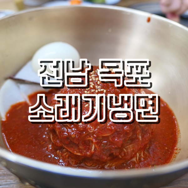  전남 목포 함흥비빔냉면 맛집 소래기와 삼학도공원 튤립