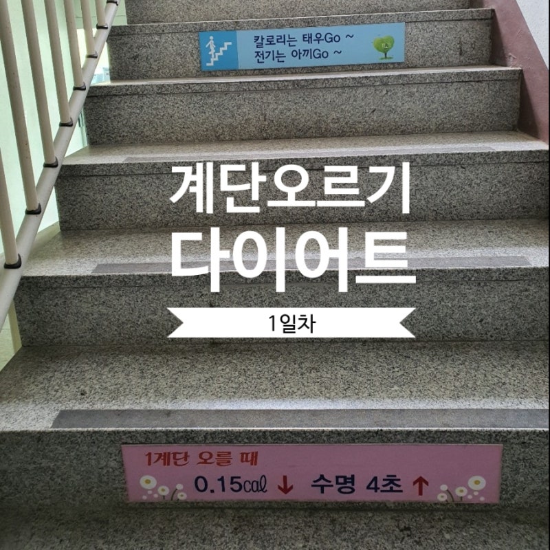 계단오르기1일차 : 공복유산소 , 계단오르기 다이어트 시작 공포의인바디 : 네이버 블로그 계단오르기1일차 : 공복유산소 , 계단오르기 다이어트 시작 공포의인바디 : 네이버 블로그