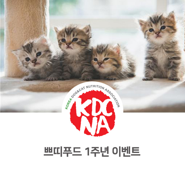 [반려동물 영양 수제간식 창업] 쁘띠푸드 1주년 이벤트_164