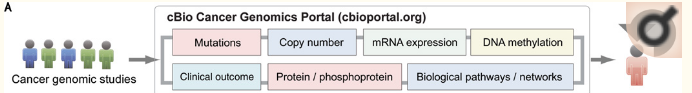  C-bioportal