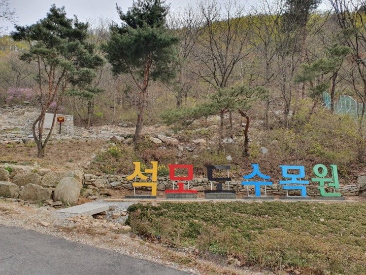 강화도 가볼만한 곳 '석모도수목원(석모도 자연휴양림)' 후기 -위치, 입장료 정보 포함