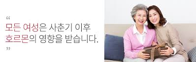  여성의 성호르몬에 대하여 2편 - 황체자극호르몬 난소호르몬 작용 효능 부작용
