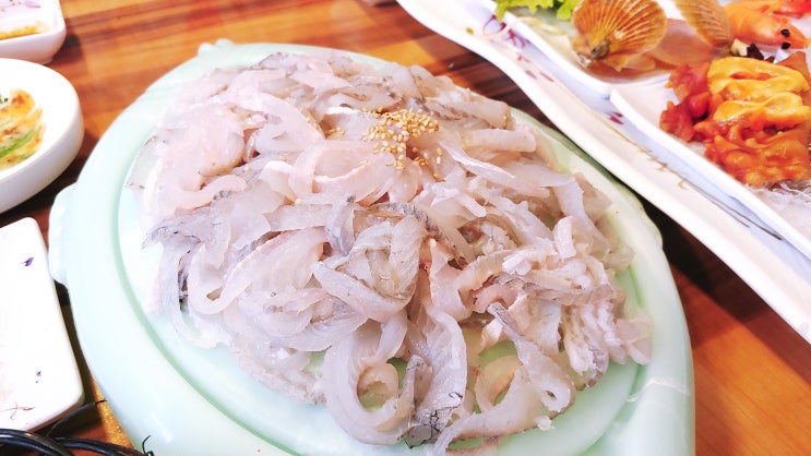부개동 맛집 세종회수산 도다리 세꼬시 끝내주는 횟집 부개동 맛집 세종회수산 도다리 세꼬시 끝내주는 횟집