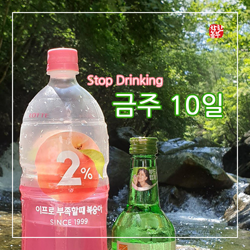  금주(Stop Drinking) 10일 - 사회적 거리두기와 우리나라의 음주문화